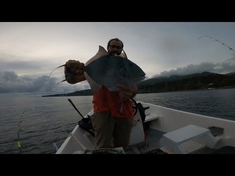 Fiskeri efter aftrækkerfisk på Azorerne