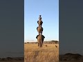 Unreal Elephants Balancing Like Acrobatics 세상에 이런 일이 코끼리들의 놀라운 묘기