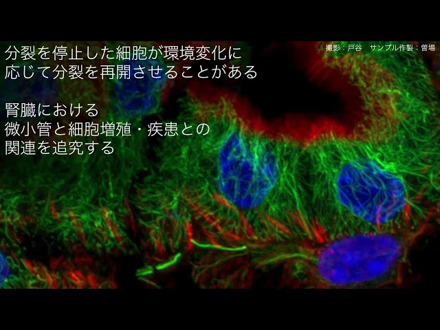 動画サムネイル