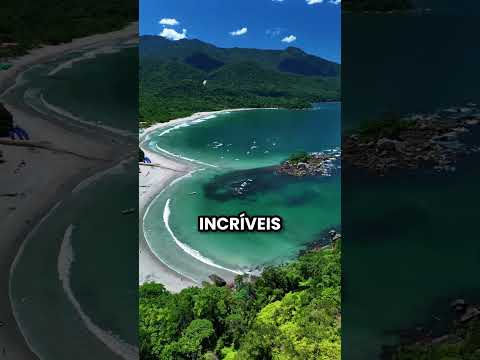 São Paulo a gigante de Brasil #saopaulo #ilhabela #avenidapaulista #curiosidades