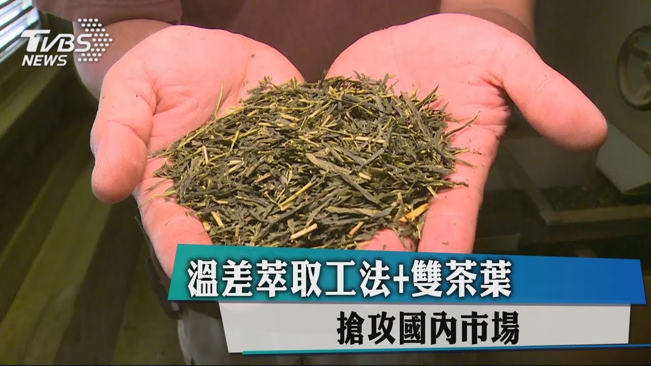 溫差萃取工法+雙茶葉 搶攻國內市場