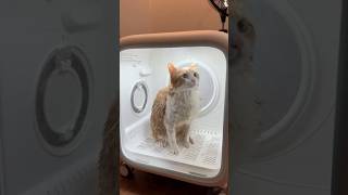 Download lagu He Got The Complete Bath Service 😂 mp3 Download lagu He Got The Complete Bath Service 😂 mp3