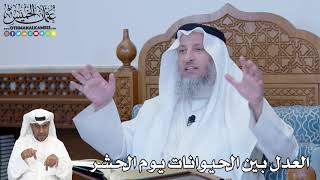 263 - العدل بين الحيوانات يوم الحشر - عثمان الخميس