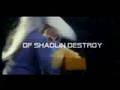 Traitor Of Shaolin