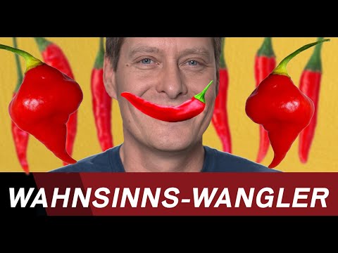 Der Wahnsinns-Wangler & die schärfste Chili der Welt @ROCKANTENNE
