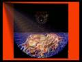 Allan Holdsworth - TEMPEST -.Strangeher 1973 audio (vinyl)