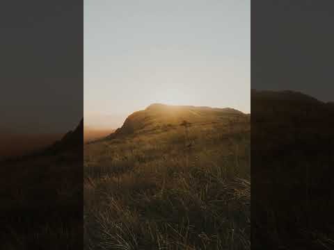 Chris Andreus - Oasis Tales