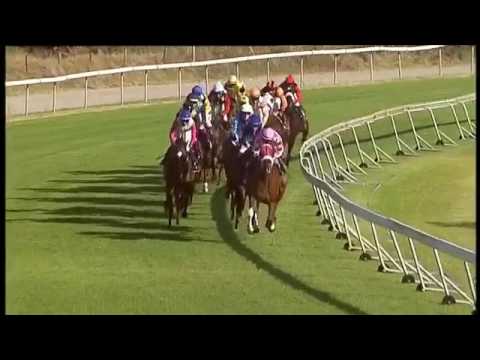 2017.01.28 Cape Stayers (RSA) - Krambambuli