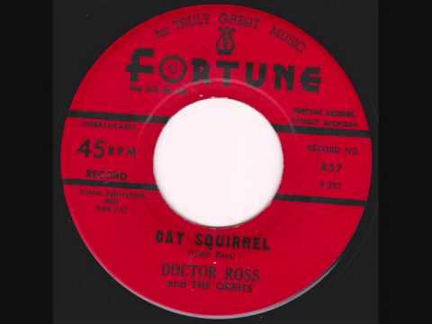 Doctor Ross - Cat Squirrel