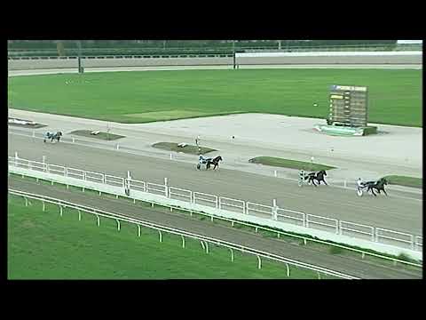 Napoli Trotto 12/12/2021 - 2ª prova di qualifica