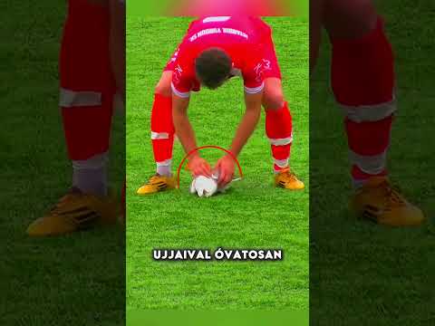 Egy szomorú focis madármentős pillanat #football #cute