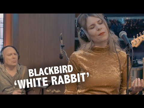 download lagu mp3 mp4 White Rabbit Radio, download lagu White Rabbit Radio gratis, unduh video klip White Rabbit Radio