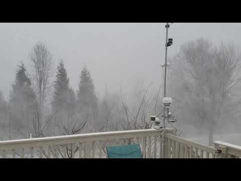 Backyard Turns into Huge Snow Devil -- Central PA Snow Squall 2/19