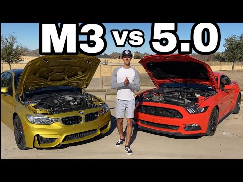 F80 BMW M3 vs Ford Mustang 5.0 | ROLL RACE!