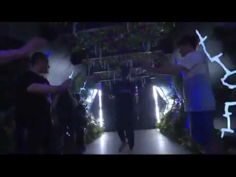 Fnatic Iceiceice dodging COVID-19 since TI9