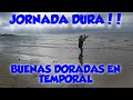 🚨💥GRAN JORNADA DE DORADAS🐸 ❗❗¡¡EN CONDICIONES EXTREMAS!!❗❗  Brutal Septiembre!!! Mejor Octubre!!💥🚨