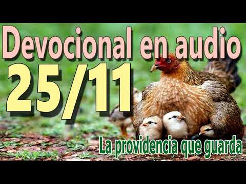 Devocional en audio 25/11 - La providencia que guarda (John Flavel)