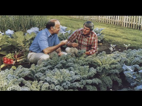 The History of our Organization