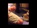 Animal Behavior