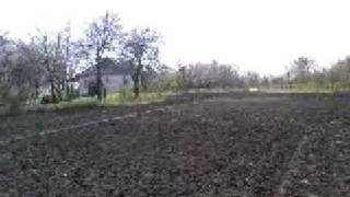 Ukraine growing small field (orchard)
