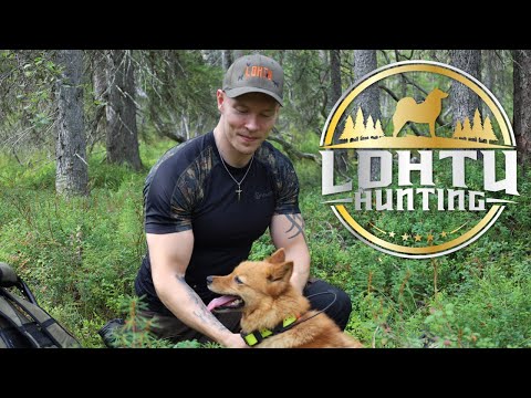 Linnunhaukkukoe | Misin Ensihaukut 2023