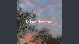 Misunderstood Music Video