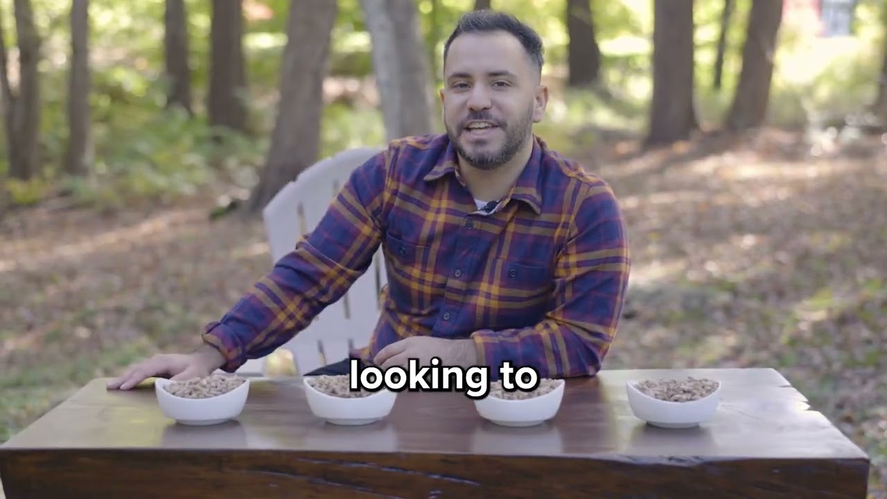 Which Bear Mountain BBQ flavor is yours?