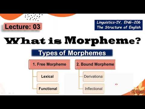 Morpheme | Types of Morphemes | Free Morphemes & Bound Morphemes