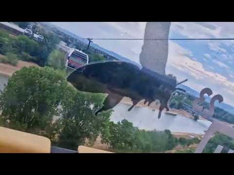 Mannheim Luisenpark Seilbahn . #travelblog #mannheim #seilbahn #new