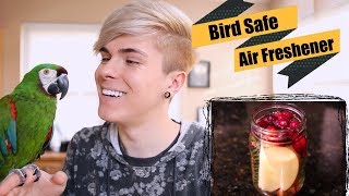 DIY Bird Safe Air Freshener! *Simmer Pots*