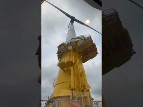 #Offshore #Windturbine #windturbines #tutanchamun