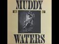 Muddy Waters I'm A King Bee
