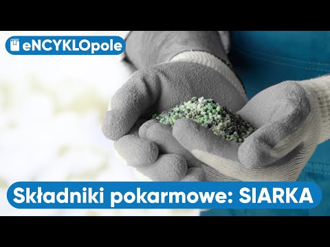 SIARKA. Poznajemy składniki pokarmowe