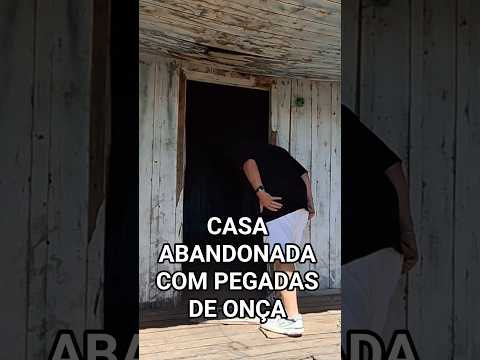 será que é pegadas de onça? #roça #casaabandonada #vidanaroça #viraliza