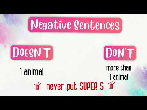 Negative Sentences in Simple Present