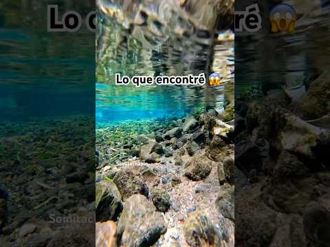 Lo que encontré en esta pequeña posa es increíble en catarata la Escondida san Lucas Toliman Solola