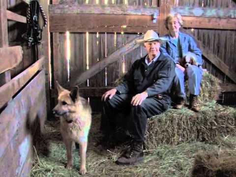 Historical Timeline - 2004