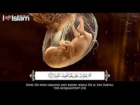 Menangis mendengar Surah Al-Mulk