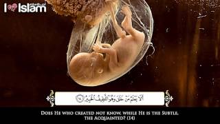 Download lagu Menangis mendengar Surah Al-Mulk mp3