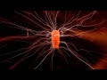 Electricity Shock Sound 1 Hour Electricity Sound Effect, Zapping, Noise, Crackling, Buzzing