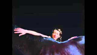 My Brightest Diamond / Gone Away