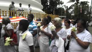 preview picture of video 'Kapruk pujawa Ibbagamuwa'