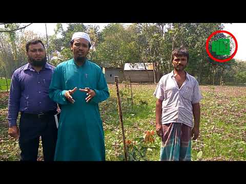 ফল বাগান খাদ্য নিরাপত্তা নিশ্চিত করে