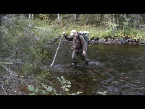 Yö ulkona 2. Metsän peitto?