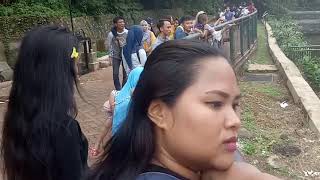 Download lagu Liburan ke taman Pantasi hewan mp3