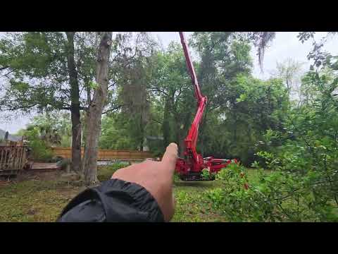 Storm Damage Tree Work