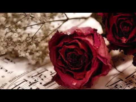 Adiós, Coco - Juan D'Arienzo - Instrumental (1972)