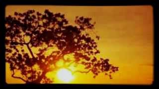 Download lagu Curahan Hati SUAMI ( Song Cover Kitaro_Caravansary mp3