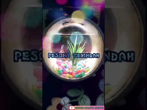 Pesona Terindah - Donnie Sibarani (Cover lirik Video )