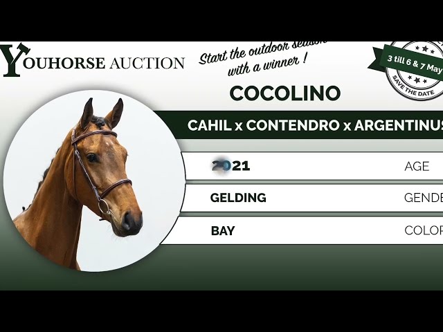 Cocolino flatwork
